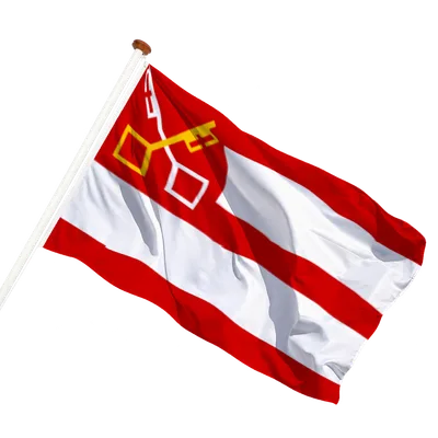 transparent background