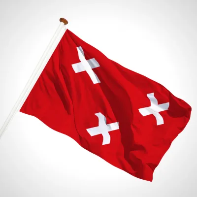 white background