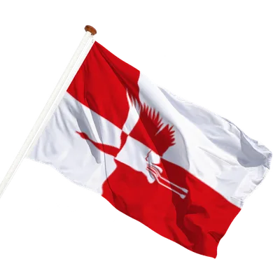transparent background