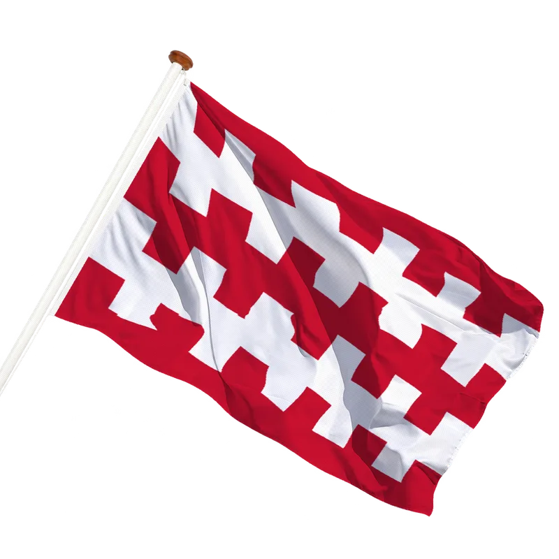 Flag of Dongen