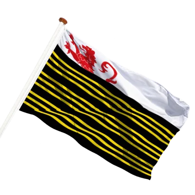transparent background