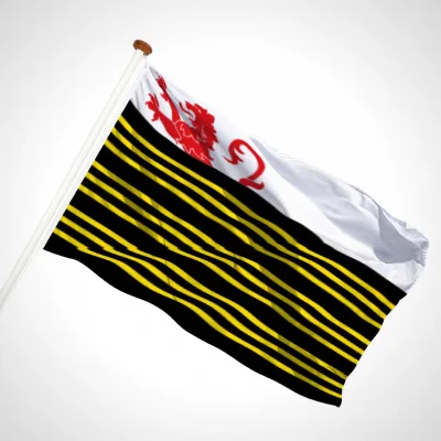 white background
