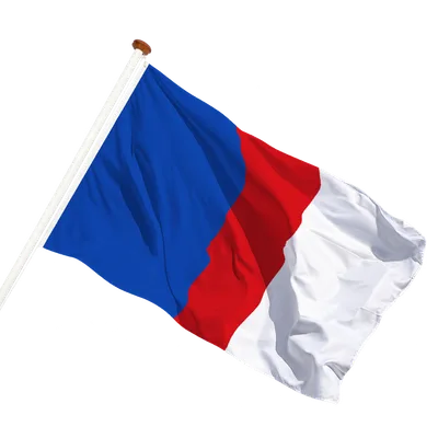 transparent background