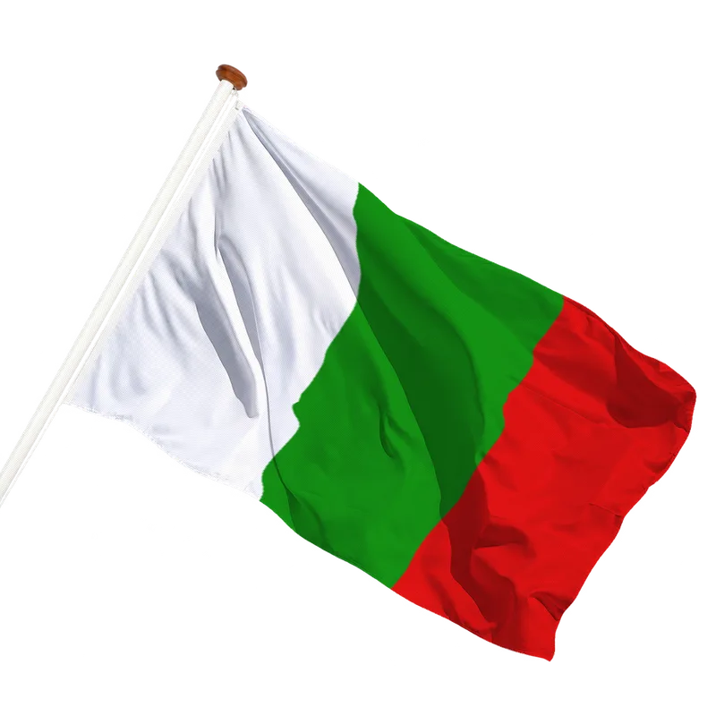 Flag of Tielt-Winge