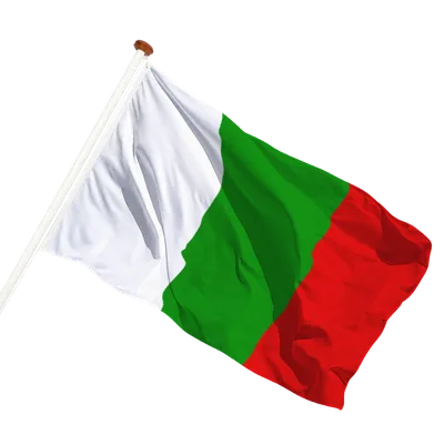 transparent background