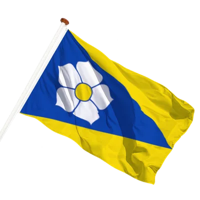 transparent background