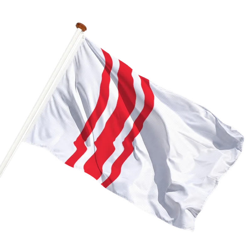 Flag of Oisterwijk