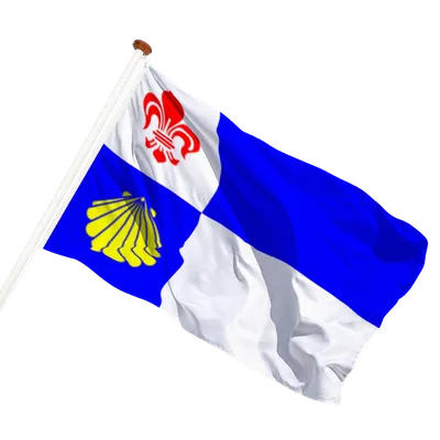 transparent background