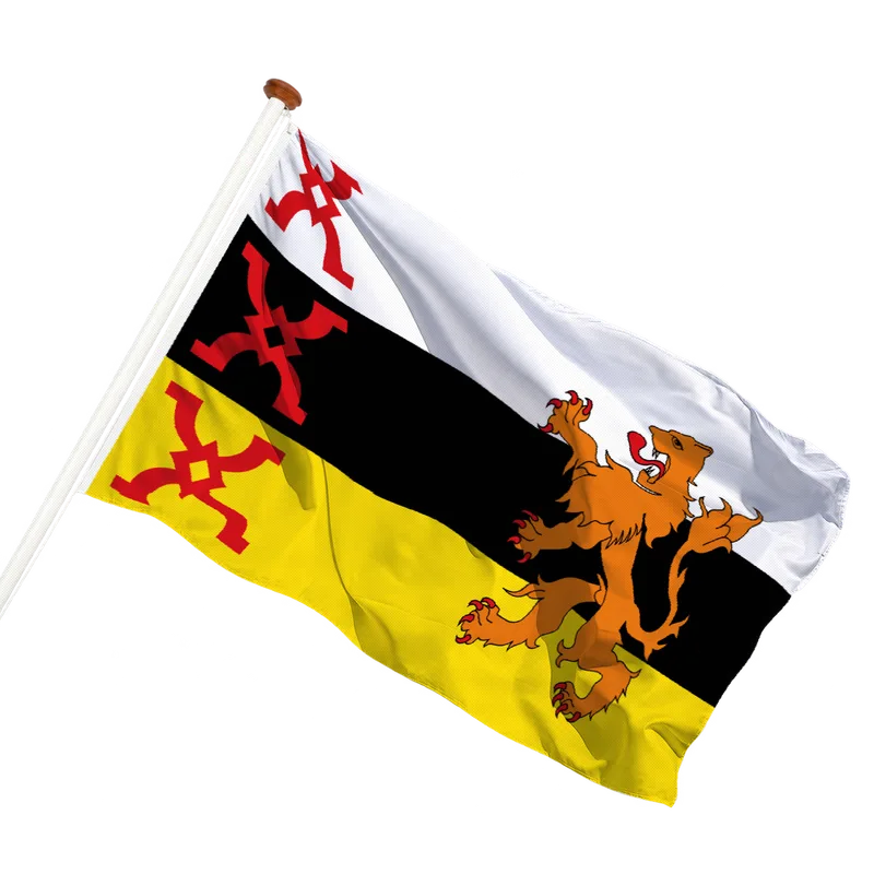 Flag of Someren