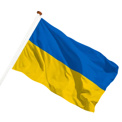 transparent background
