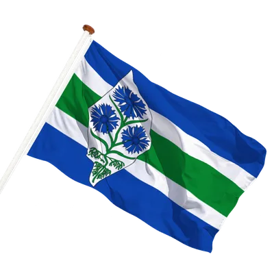 transparent background