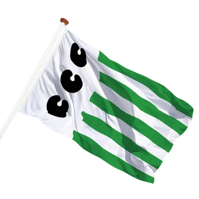 transparent background