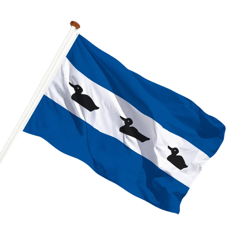Flag of Diemen