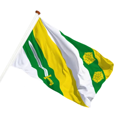 transparent background