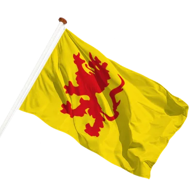 transparent background