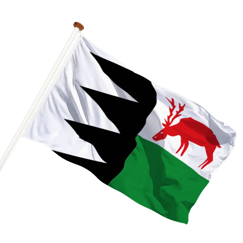Flag of Bruinisse