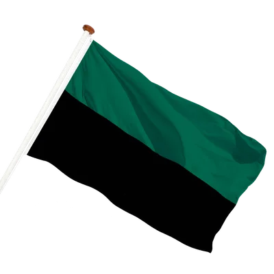 transparent background