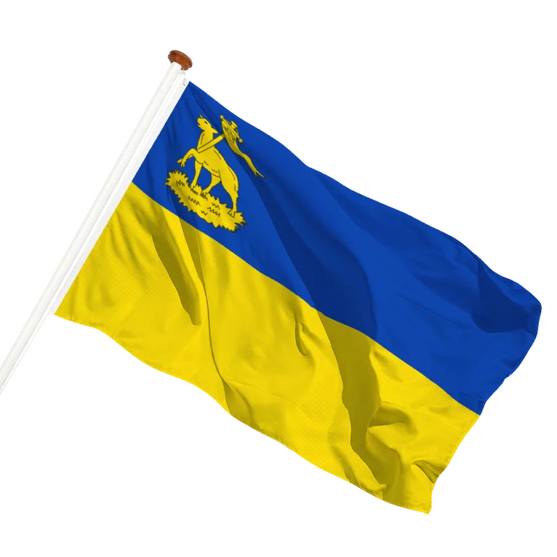 Flag of Velsen