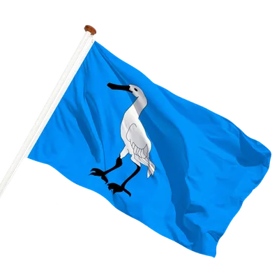 transparent background